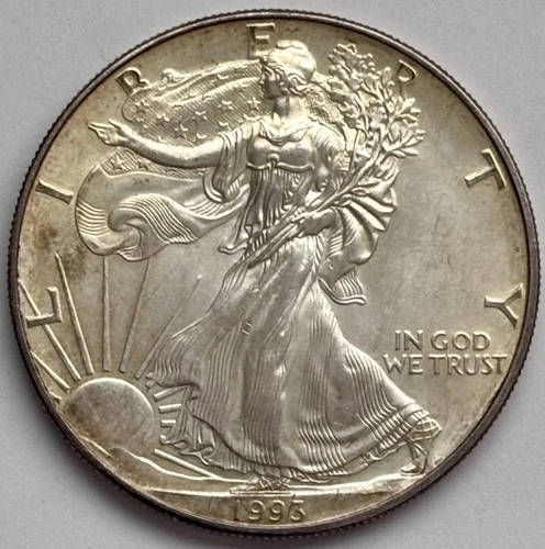 1993 American Silver Eagle 1 Oz Uncirculated In Capsule Nice Yellow Tone