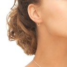 Picture 4 of 4