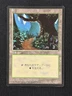 Forest (B) Foreign Black Border FBB Japanese Magic The Gathering MTG Card