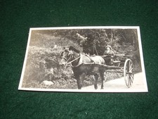 VINTAGE PHOTOGRAPH LADY DRIVING A PONY & TRAP OR GIG GREENODD ULVERSTON 5" x 3"