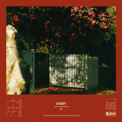 Casey - HOW TO DISAPPEAR (TRANSPARENT YELLOW)  [VINYL]