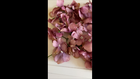 Video 1 von 1