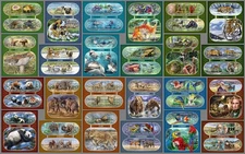 NATURE animals mushrooms Togo 2017 collection 24 s/s Michel  CV312€ MNH #CNA379