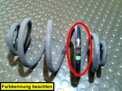 Hinterfeder Links VW Passat Variant 1.6 3BG/3BL/3BS 12 Monate Garantie