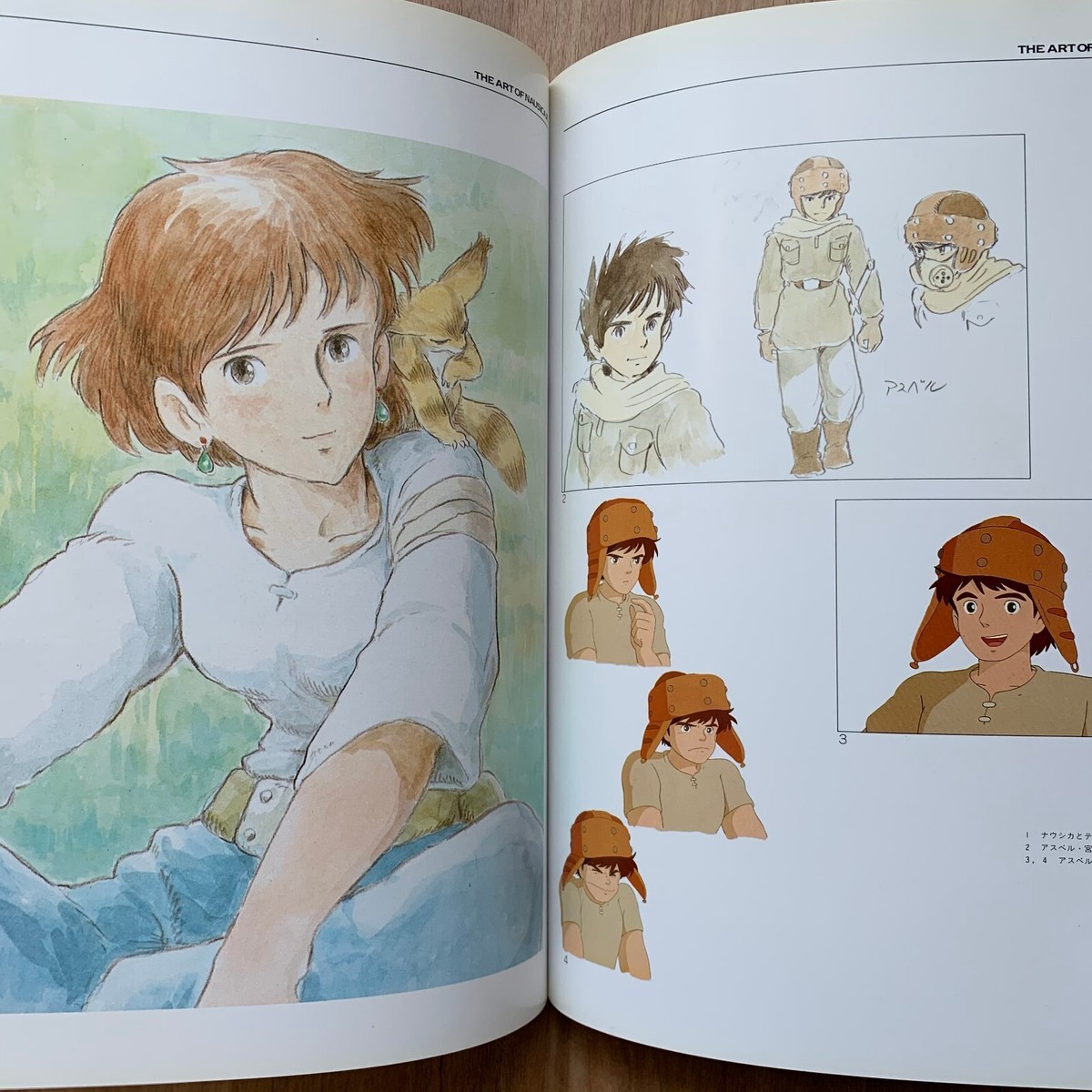 The Art of Nausicaa Hayao Miyazaki Studio Ghibli Movie Artwork