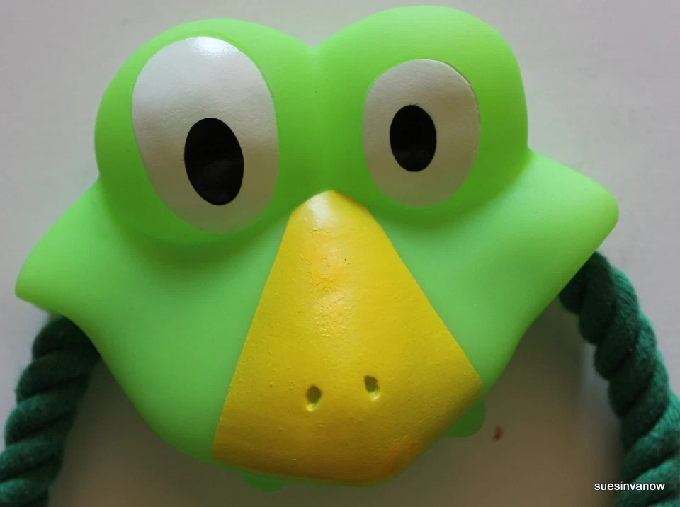 Tirar de cabeza de animal tirar de juguete perro cachorro mascota buscar jugar masticar tirar fitness diversión correr Foto 2 de 2