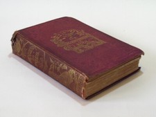 OUR GARDEN FRIENDS & FOES