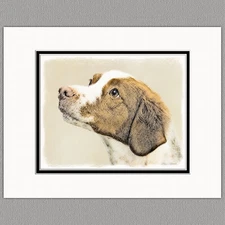 Brittany Spaniel Original Art Print 8x10 Matted to 11x14
