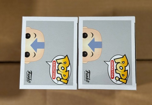 Funko Pop! Avatar Aang On Airscooter Hot Topic Exclusivo GITD Chase Combo - Imagen 6 de 7