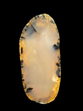 MONTANA AGATE SLAB - Unpolished End Cut Cabbing Lapidary Rock Mineral Slice