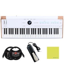 Arturia AstroLab Avant-garde 61-Key Stage Key...