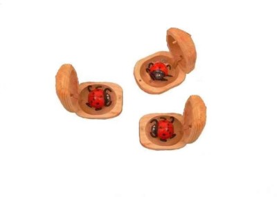 1 Glückskäfer, Marienkäfer Holz, Glücksbringer, Mitbringsel, Geschenk, Talisman