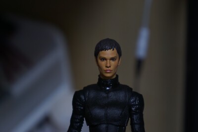 Mcfarlane The Batman Selina Kyle custom painted head