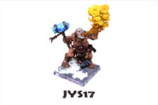 Warhammer Ogre Kingdoms Firebelly JYS17
