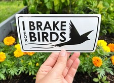 Freno para pájaros, pegatina para observación de aves, calcomanía para amantes de las aves para poner en su coche