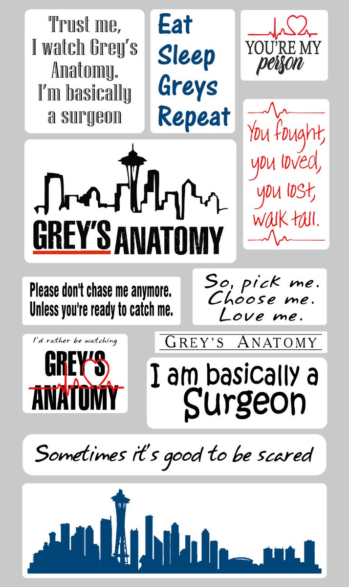 Greys Anatomy Sticker Pack, Greys Gift, 23 Vinyl Stickers, FREE