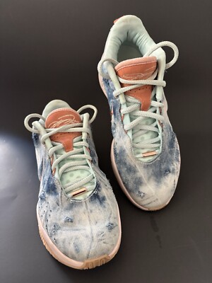 Nike Lebron XXI 21 Jade Ice-Terra Blush Aragonite HF5467-300 Men Size 8.5 w/Box
