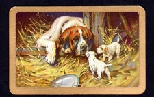 Vintage Swap/Playing  Card - St. Bernard Dog with Puppies - (LINEN) (MINT)