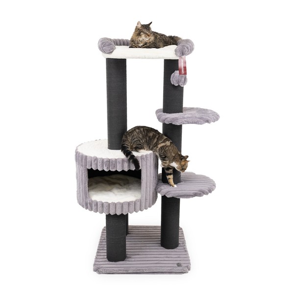 Canadiancat Company | Kratzbaum Edward, KatzenmöBel, Grau, 68 X 68 X 158 Cm-image