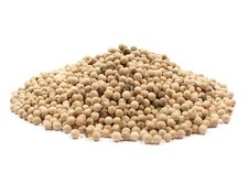 White Peppercorns Whole - 1 Pound - Bulk Food Service Imported Whole Peppercorns