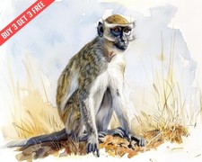 Vervet Monkey in African Savanna Watercolor 8x10 Print