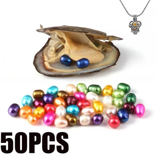 50x Natural Oysters 7-8mm Vacuum Pack Real Pearl Freshwater Individually Gift - Picture 3 of 10