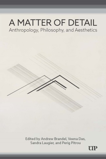 A Matter of Detail Anthropology, Philosophy, and Aesthetics (Hardback Book)