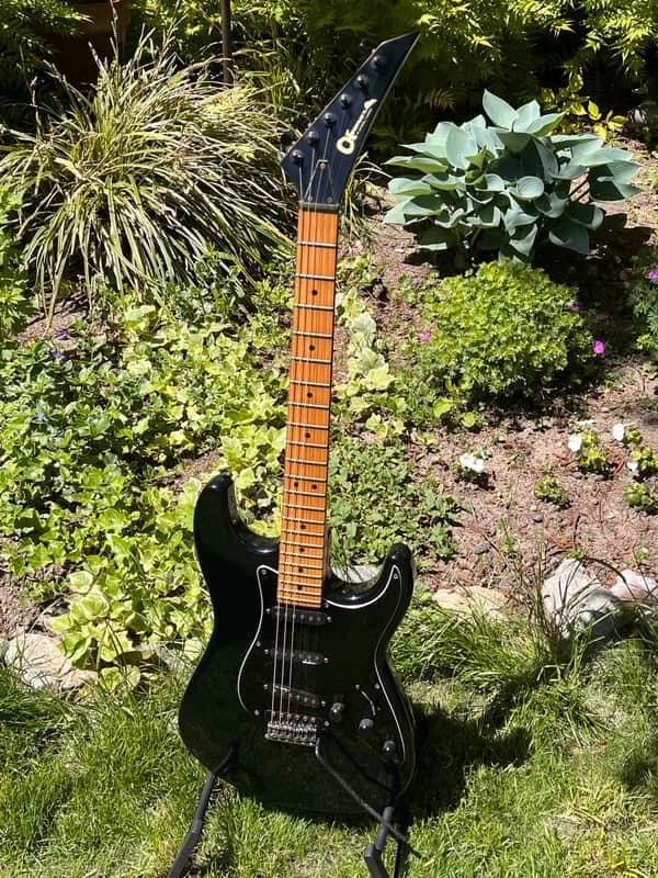 Charvel Jackson Guitar for sale - eBay