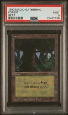 Forest - Beta - MTG - MINT - PSA 9. See my Store for more MTG Cards.