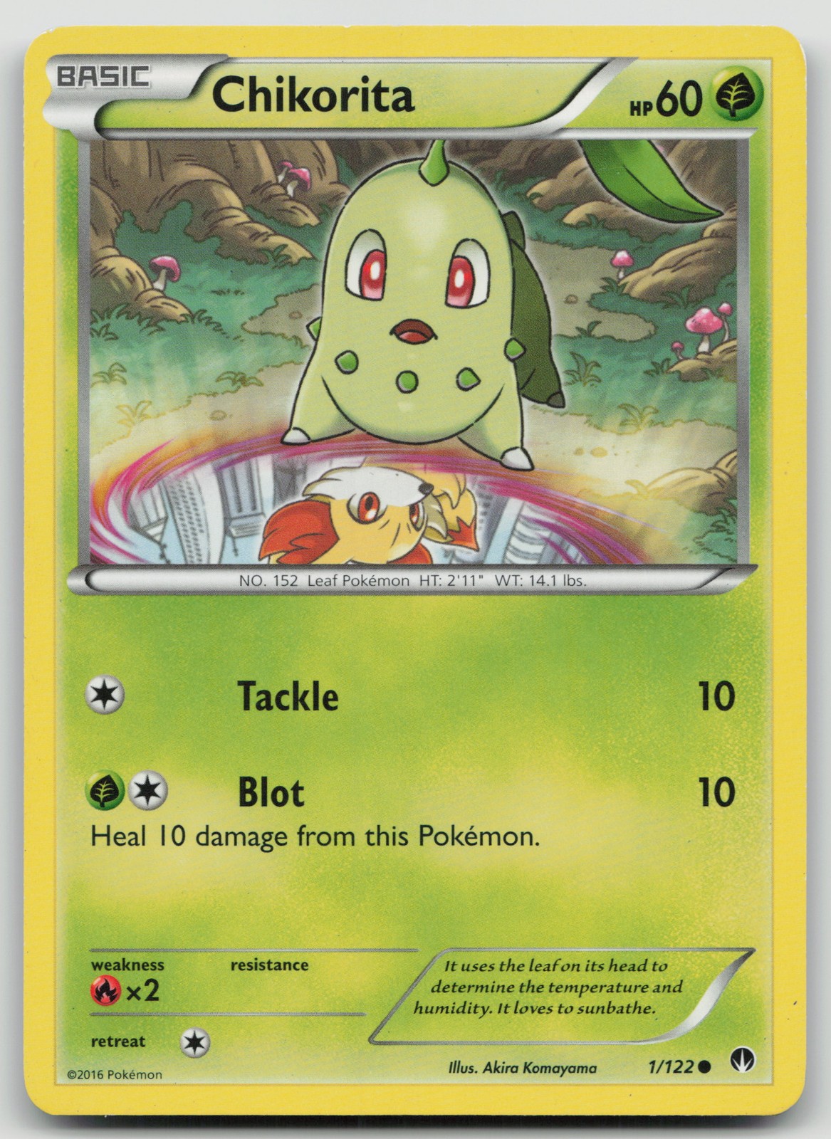 Chikorita Common XY - BREAKpoint 1/122 LP