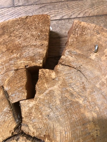 Extremo de troncos de madera Lg para tala/madera con identificación estampada ~ Bay City, Michigan ~ LG4 - Imagen 11 de 12