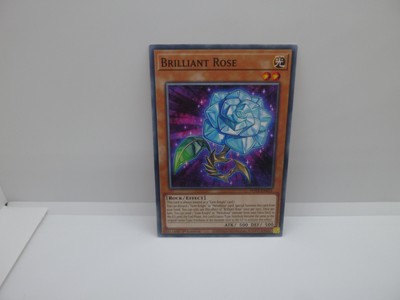 Yu-Gi-Oh Karte - Brilliant Rose - Rock / Effect - Yugioh