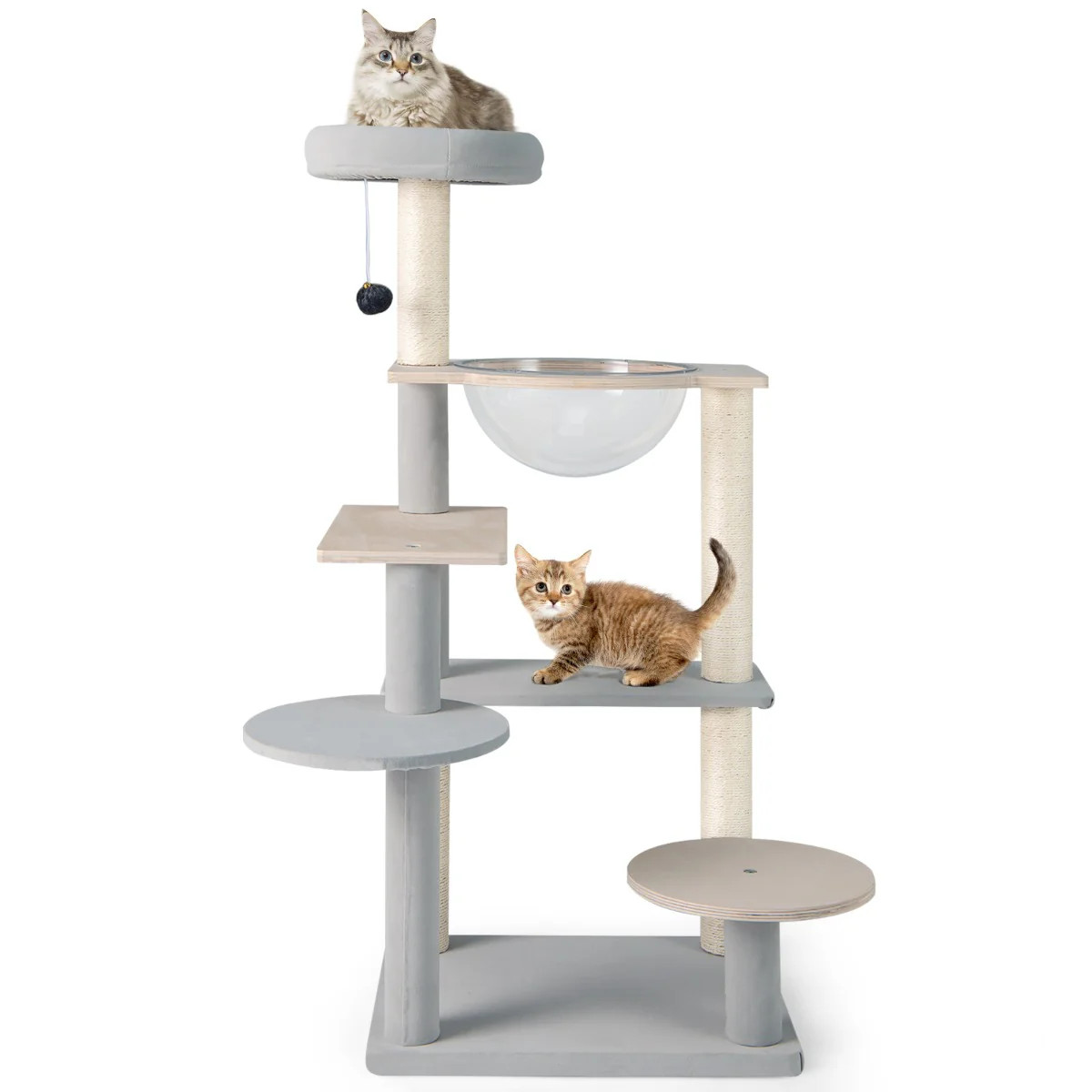 Arbre à chat moderne design en bois véritable et coussins déhoussables