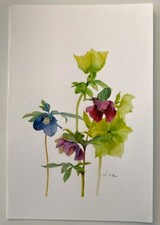 Watercolour Drawing Picture, 32.5cm x 21.8cm, Flowers