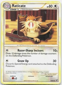 Raticate 34/90 Undaunted Uncommon