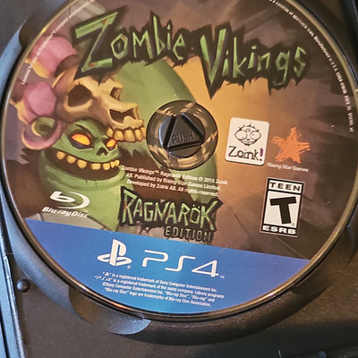Rising Star Games Zombie Vikings: Ragnarök Edition PS4 Disc Only