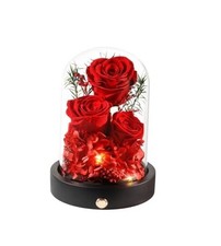 Preserved Flowers in Glass Dome with LED,Roses for Delivery, Valentines Red