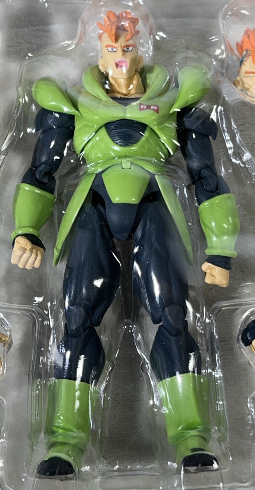 Foto 12 di 12