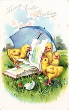 Easter Card Fantasy Chicks Book Photo Album Ephemera Umbrella Vtg Postcard F31