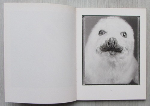 Animal - Bettina Rheims. Libro de fotografia de una excepcional fotógrafa. - Imagen 9 de 22
