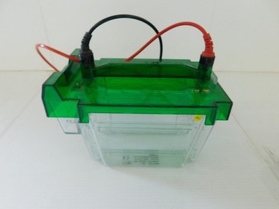 BIO-RAD Modell Nr. CRITERION CELL (PQY128)
