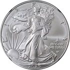 2025 Silver American Eagle $1 Eagle Privy NGC MS70 Treasure Series OGP - STOCK