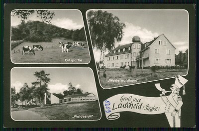 Photo postcard Leuscheid Windeck victory place lot, cow pasture, Westerwaldhaus, Waldesruh