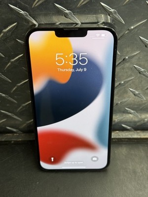 Apple iPhone 13 Pro Max 256GB Graphite AT&T A2484 MLEJ3LL/A Smart Cell Phone