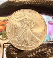 Silver American Eagle, 1 oz 2016 - In Stock Shipping Now - Uncirculated