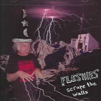 Scrape the Walls by Fleshies [CD]