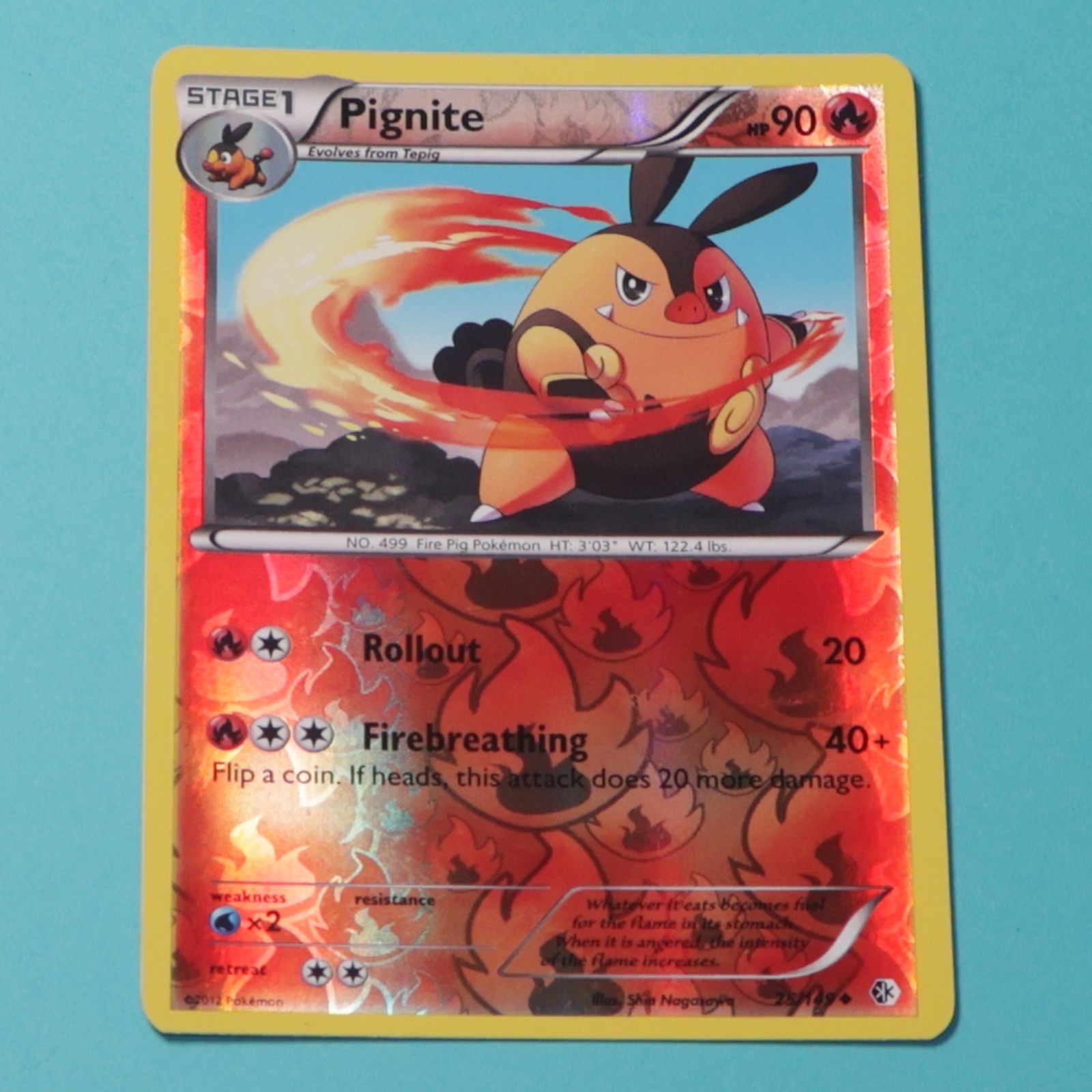 Pignite 25/149 Uncommon Boundaries Crossed Pokemon Reverse Holo