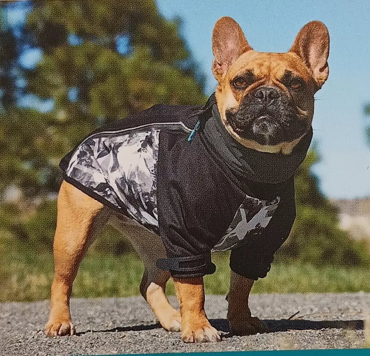 Outward top hound coat