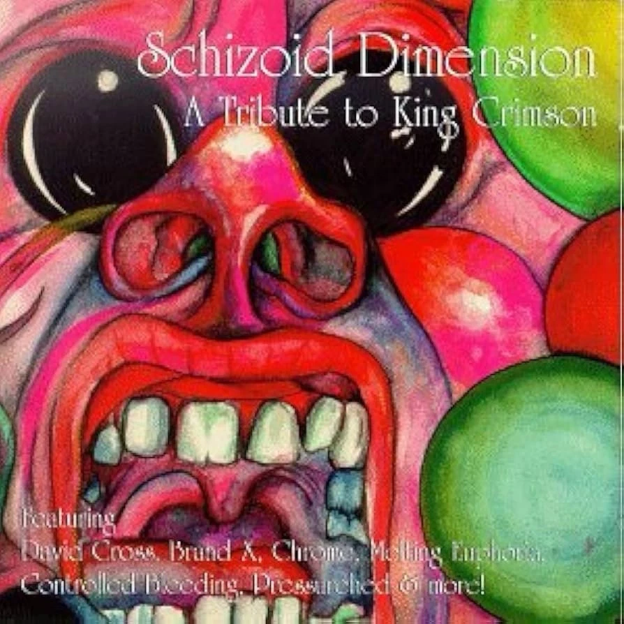 Schizoid Dimension: King Crimson Tribute (CD) - Photo 1/1