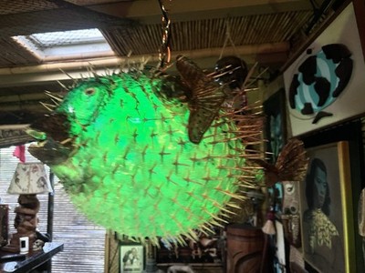 New Giant 22  Real Pufferfish Lamp W/Color Changing Led Tiki Bar Oceanic